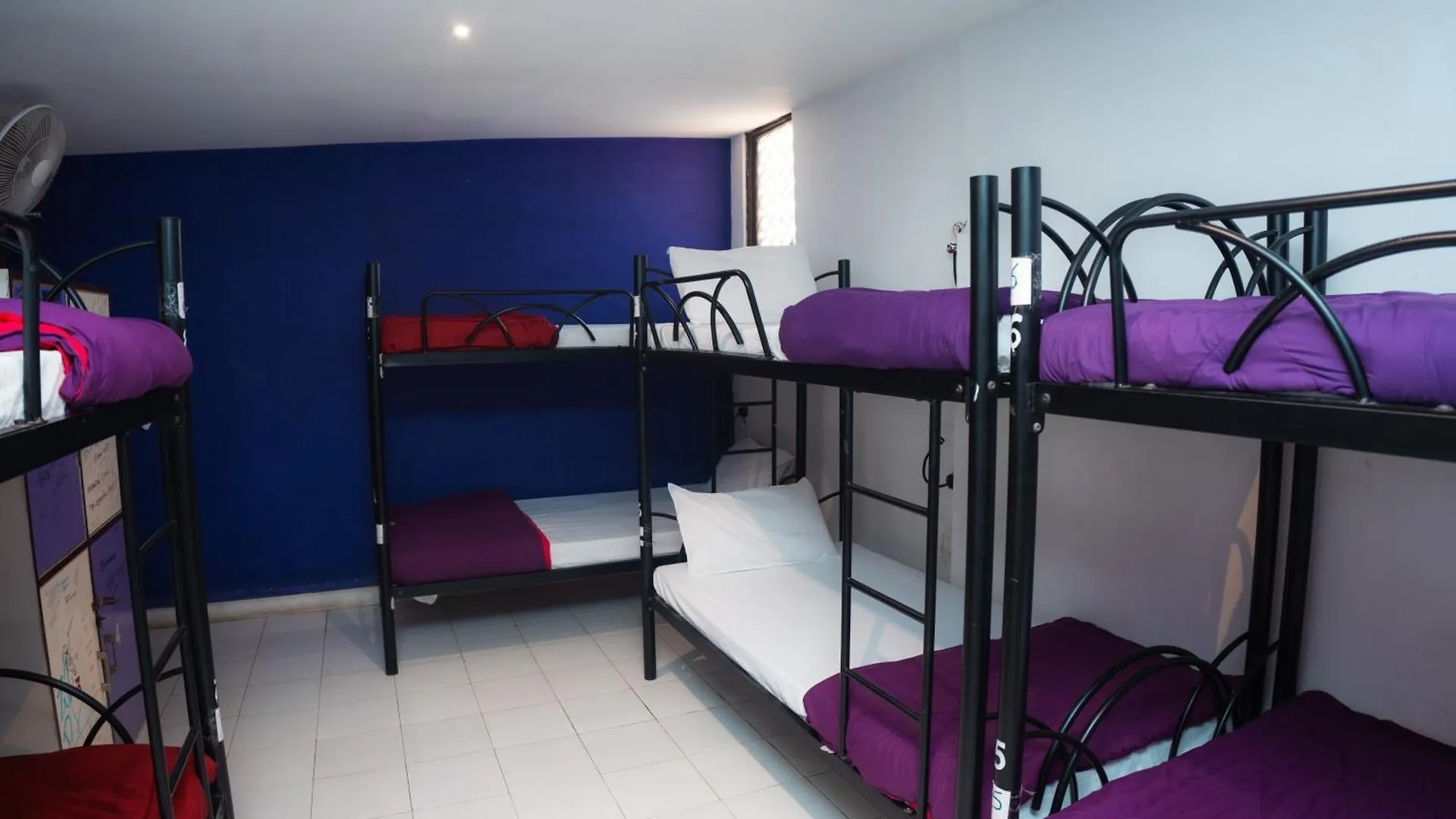 Joey'S Hostel Agra